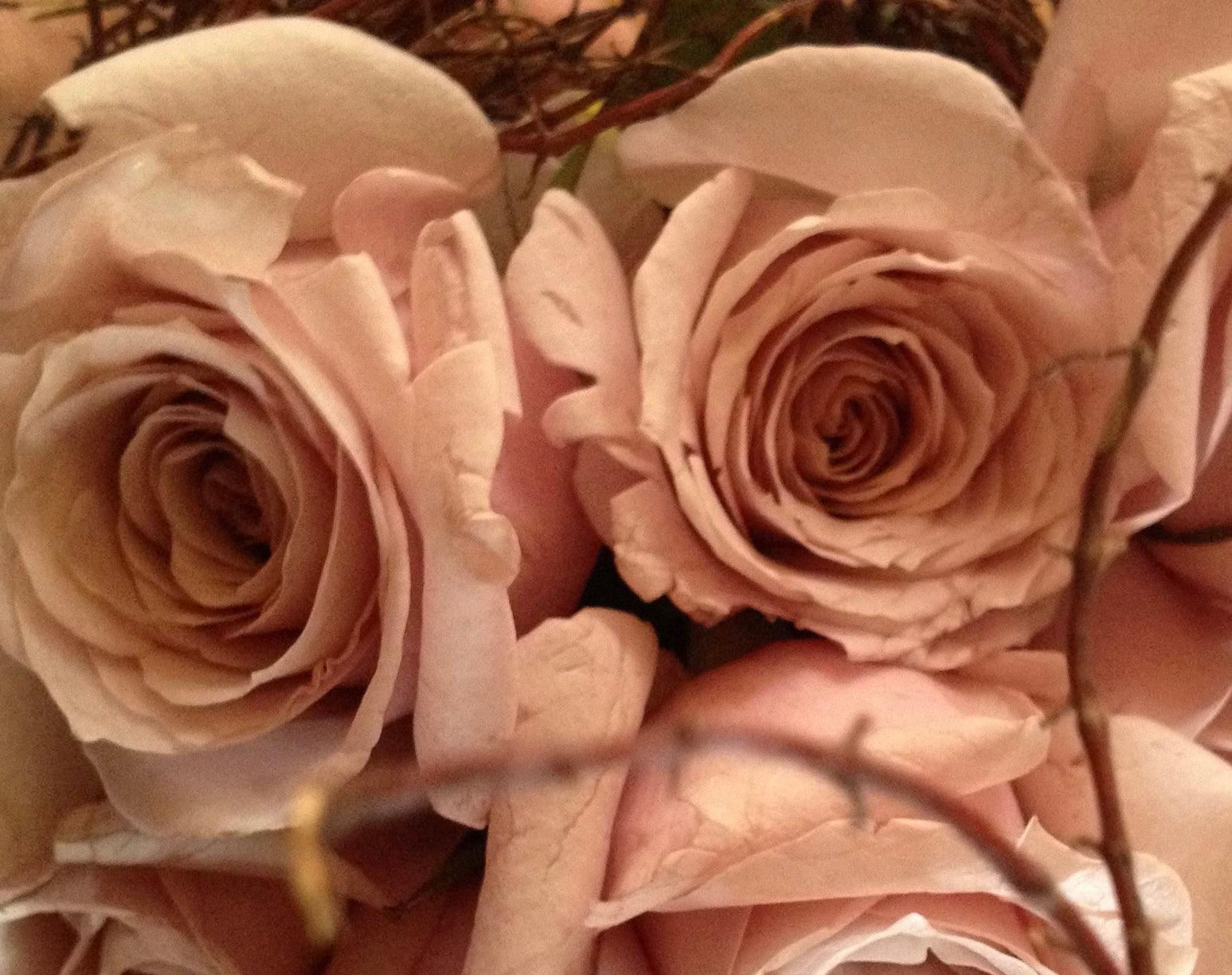 HIGH ON A BED OF ROSES / 'The Hippies Were Right: It's All About Vibra LEPAAR HIGH ON A BED OF ROSES / 'The Hippies Were Right: It's All About Vibra LEPAAR