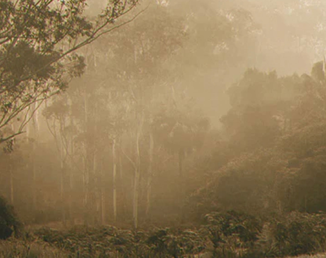ATMOSPHERIC SKINCARE / Rain walking for dewy skin