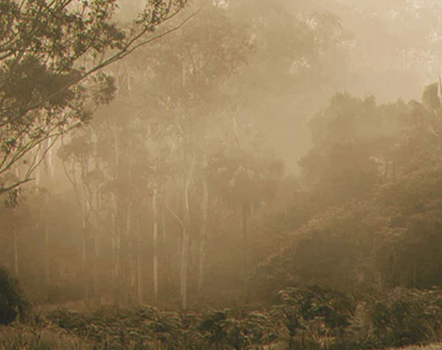 ATMOSPHERIC SKINCARE / Rain walking for dewy skin