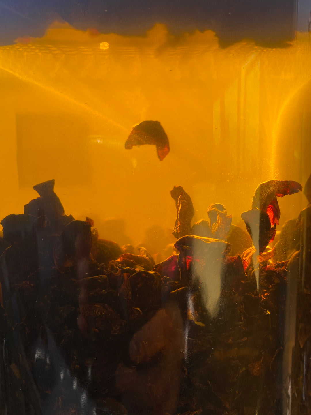 SMOOTH OPERATOR / Unfolding Face, Eye + Brow Contour Serum / Zero Essential Oils