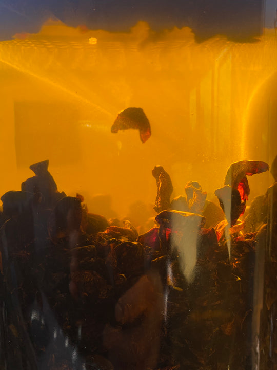 SMOOTH OPERATOR / Unfolding Face, Eye + Brow Contour Serum / Zero Essential Oils