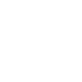 LEPAAR LOGO