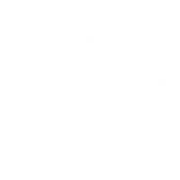 LEPAAR LOGO