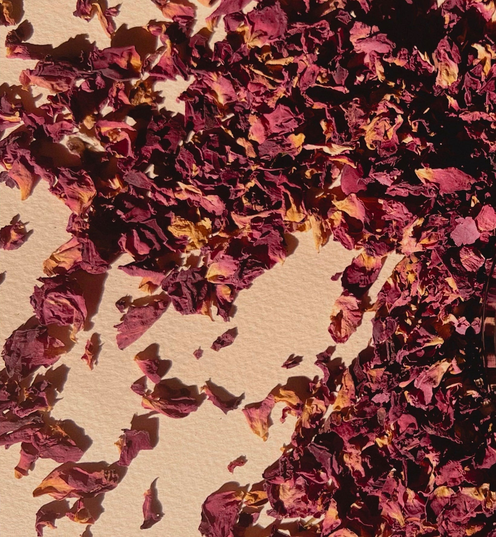 THE ROSE COLLECTION