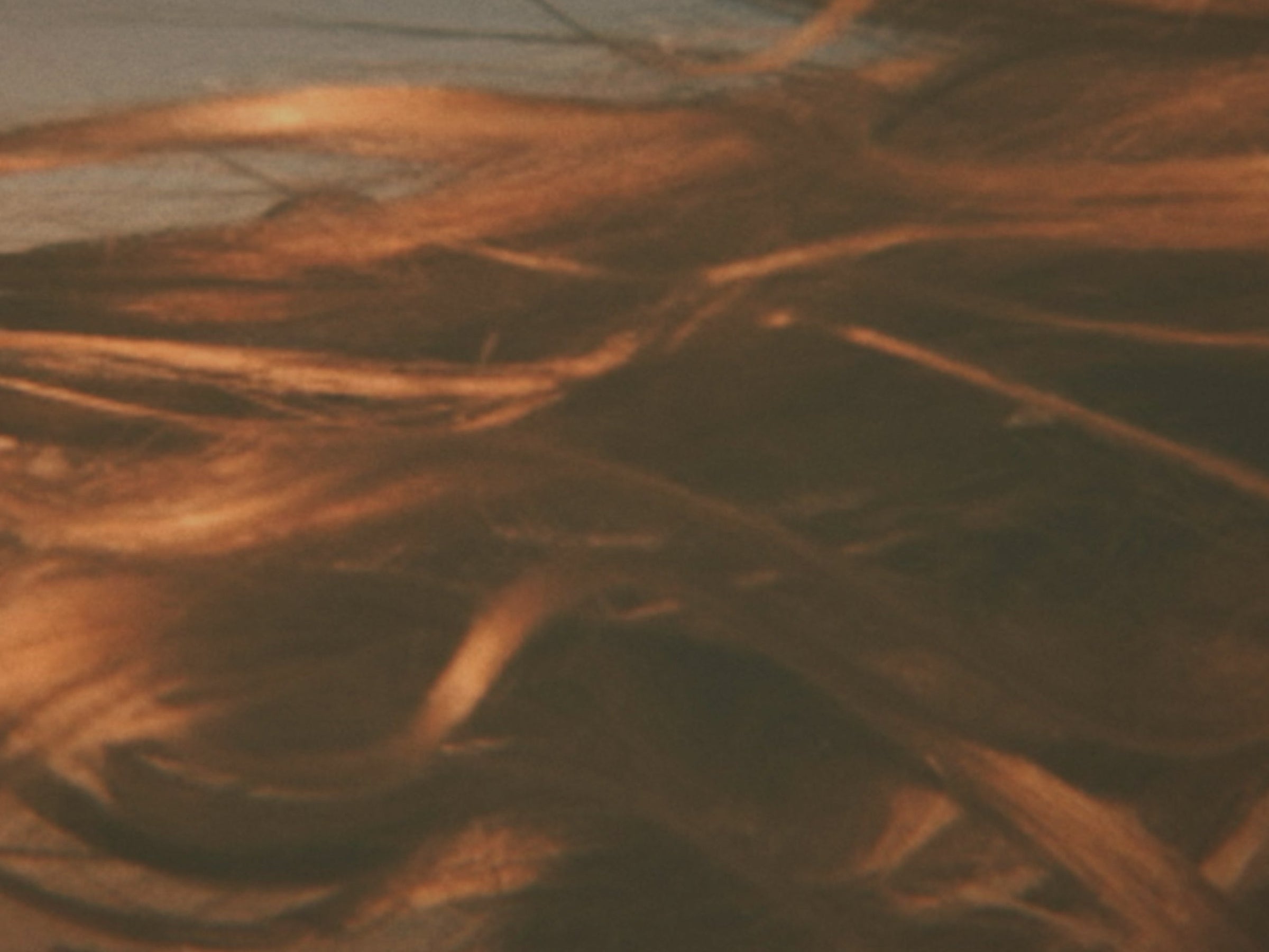 HAIR + SCALP CARE