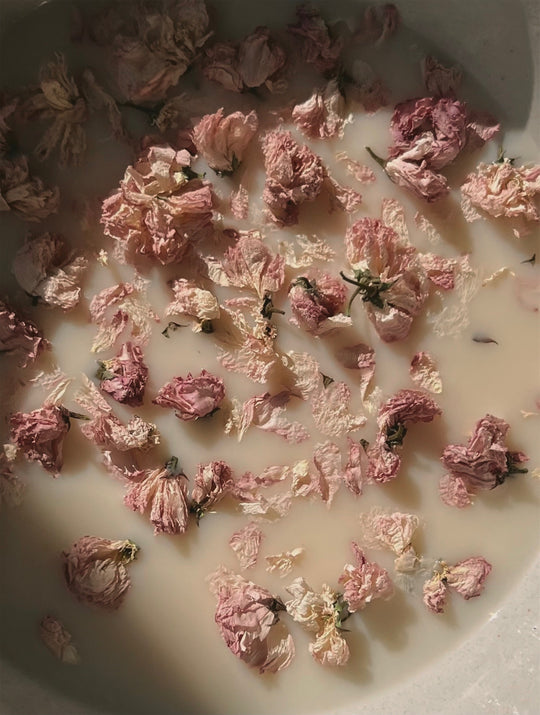 NIGHT MILK CONTOUR BALM / Rejuvenating Face Refine