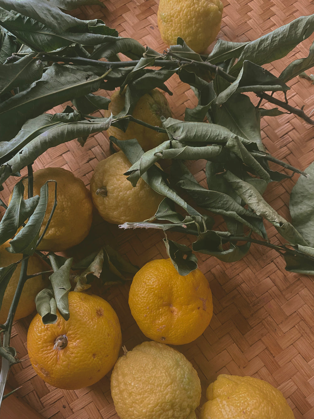 YUZU VITAMIN C SERUM / Complexion Saving Antioxidant Concentrate