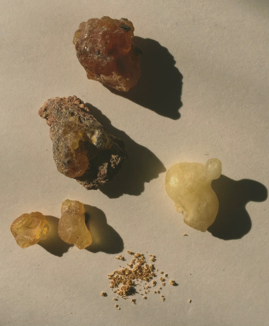 SACRED TRINITY PERFUME OIL / Frankincense, Myrrh, 24k Gold
